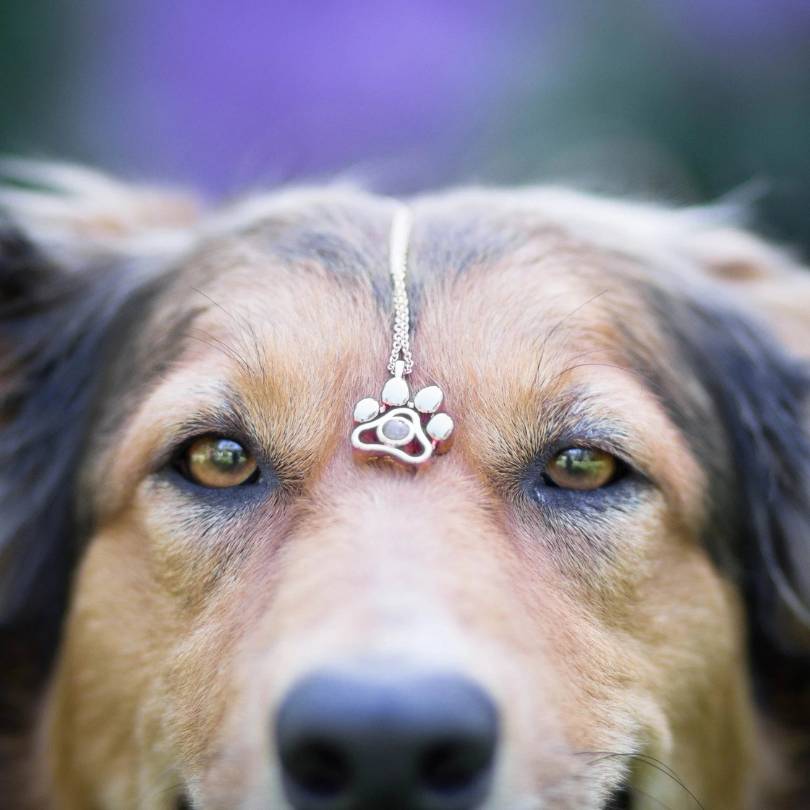 RICCARDI – Custom Pet Photo "My lovely pet" Necklace